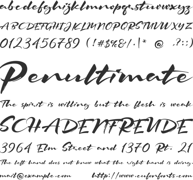 The Signater font preview