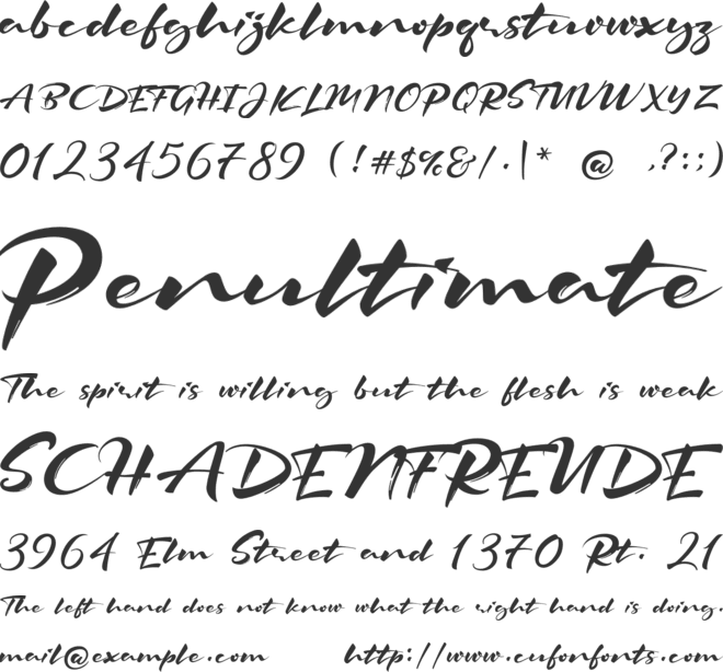 The Signater font preview