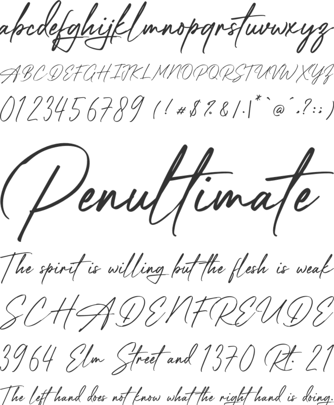 Alpha Brights font preview