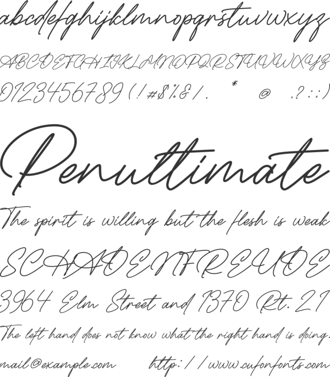 Radhion Signature font preview