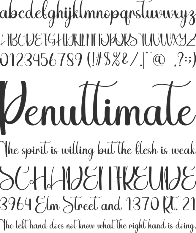 Spring Sunflower font preview