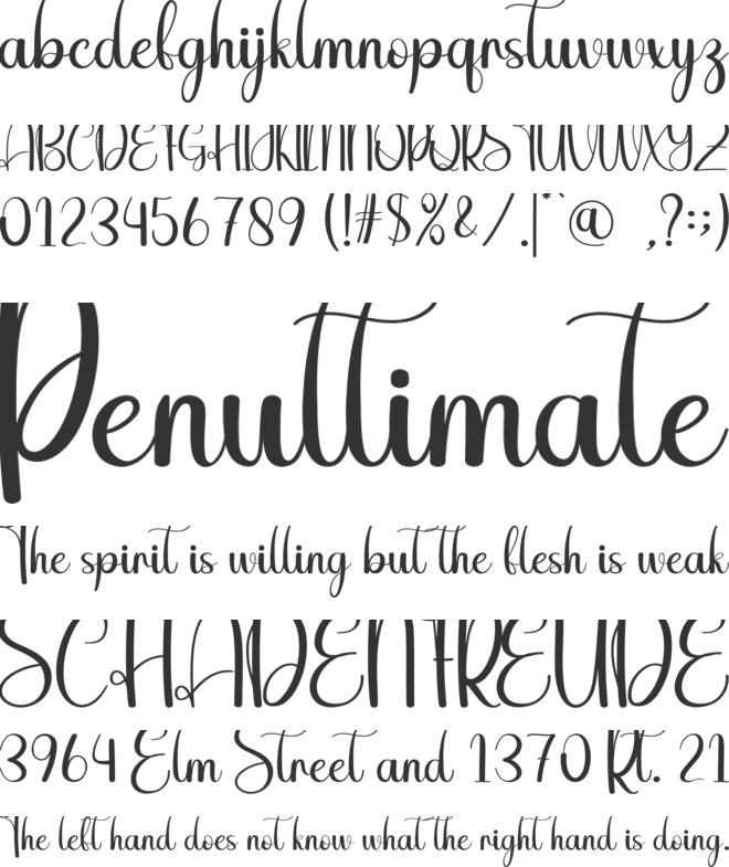 Spring Sunflower font preview