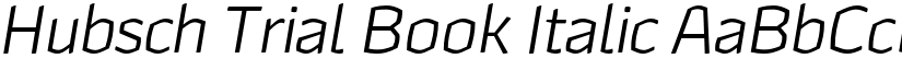 Hubsch Trial Book Italic font