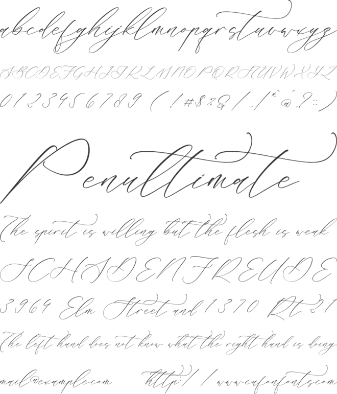 Liontinela Realise font preview