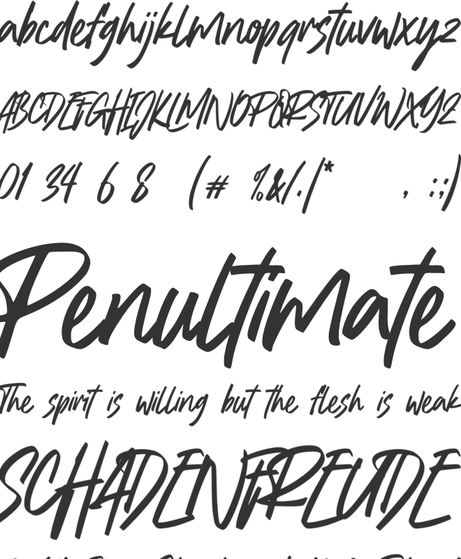 Montass font preview