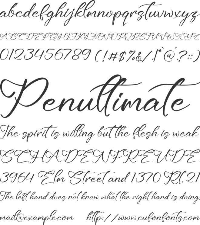 Waynette font preview