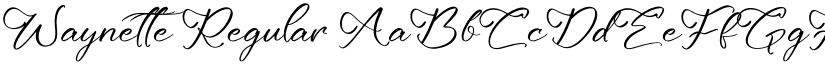 Waynette Regular font