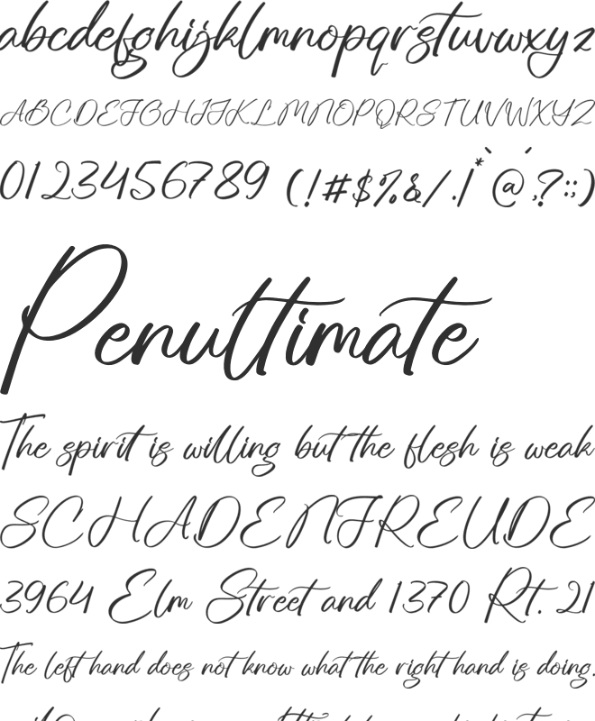 Cartteqa font preview