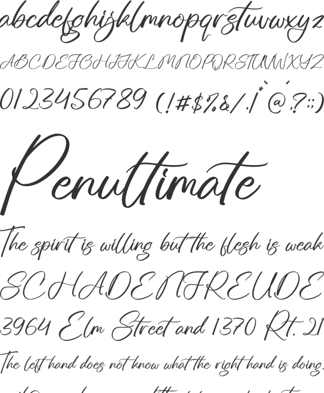 Cartteqa font preview