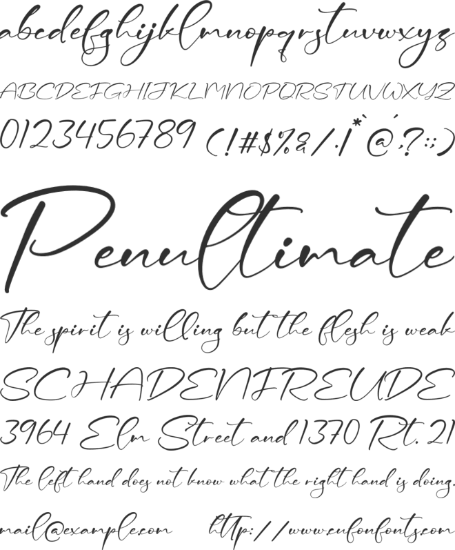 Ceesenetta font preview