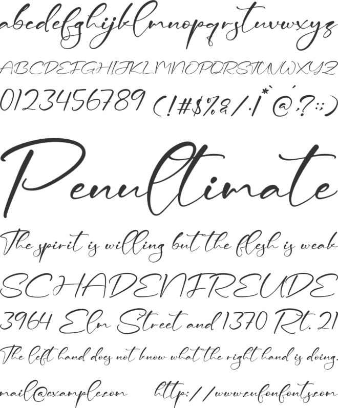 Ceesenetta font preview