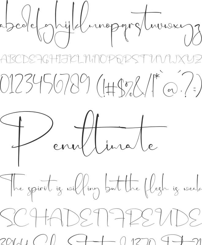 Signatally font preview