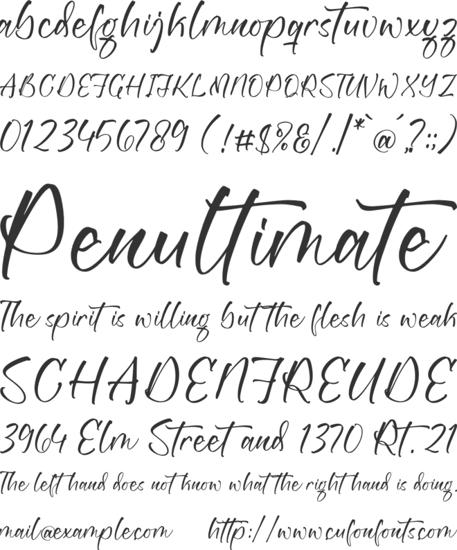 Waynota Carttes font preview