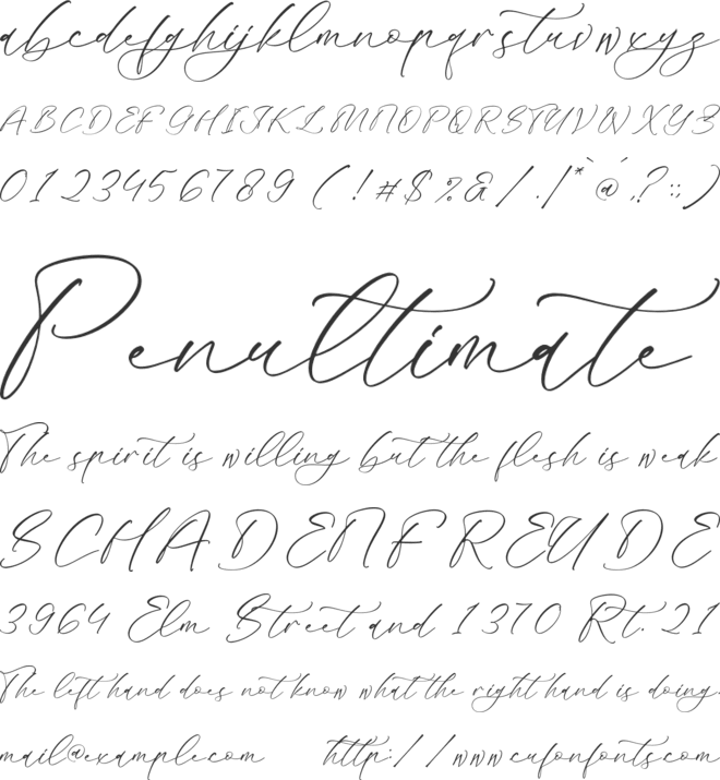 Mandela Clashinta font preview