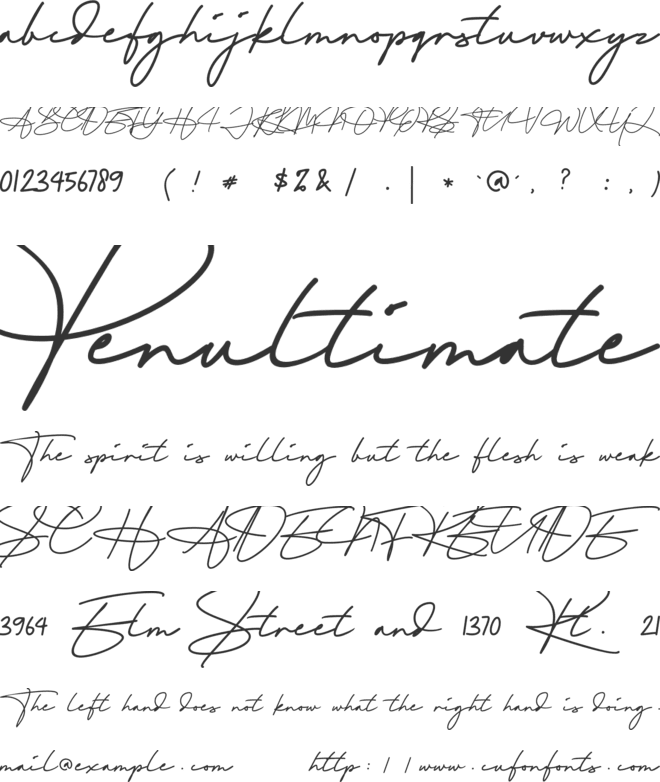 Signatera font preview