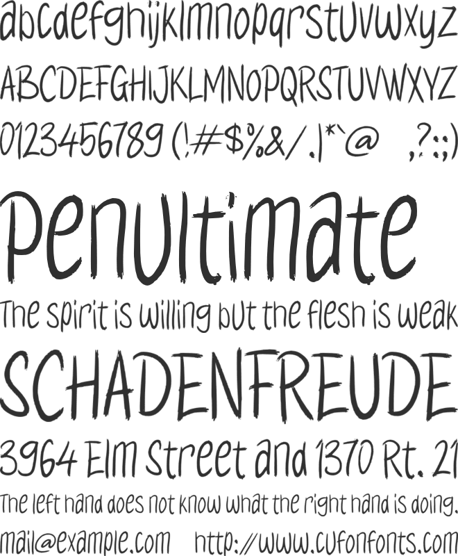 Haidenisa font preview