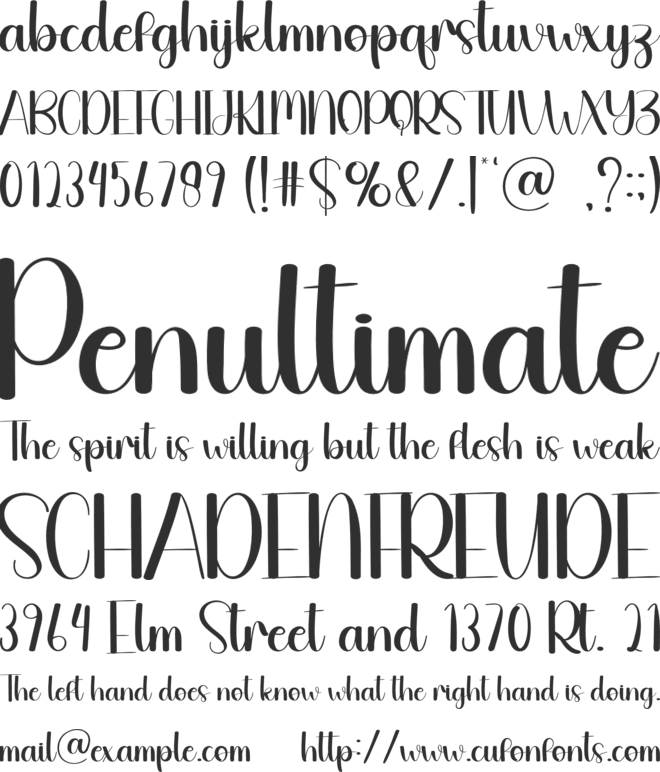 Beetle font preview