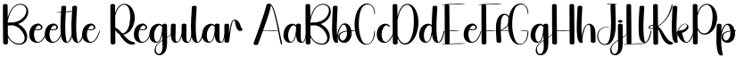 Beetle Regular font