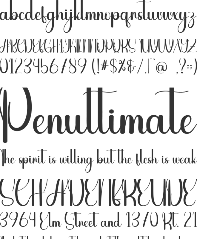 Citicon font preview