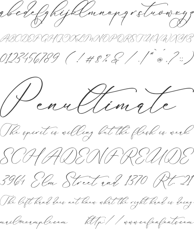 Anticka Whitnes font preview