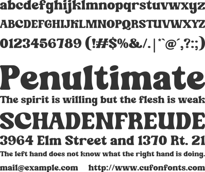 Shine Coasty font preview