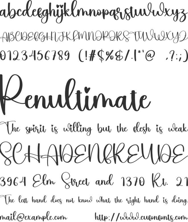 Home font preview
