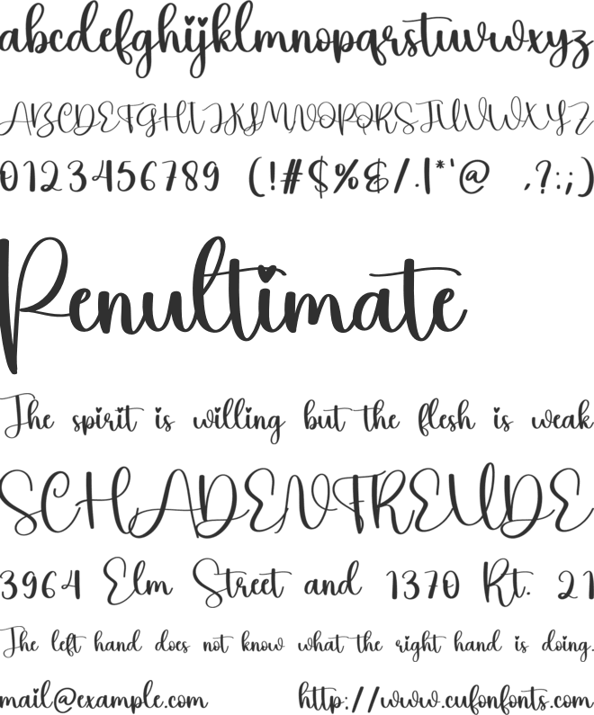 Advice font preview