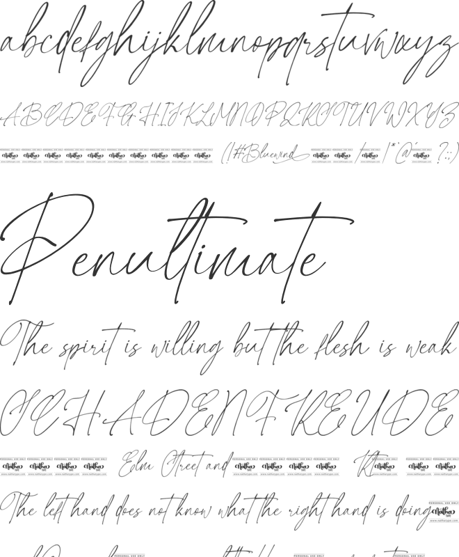 Bluewind Personal Use font preview