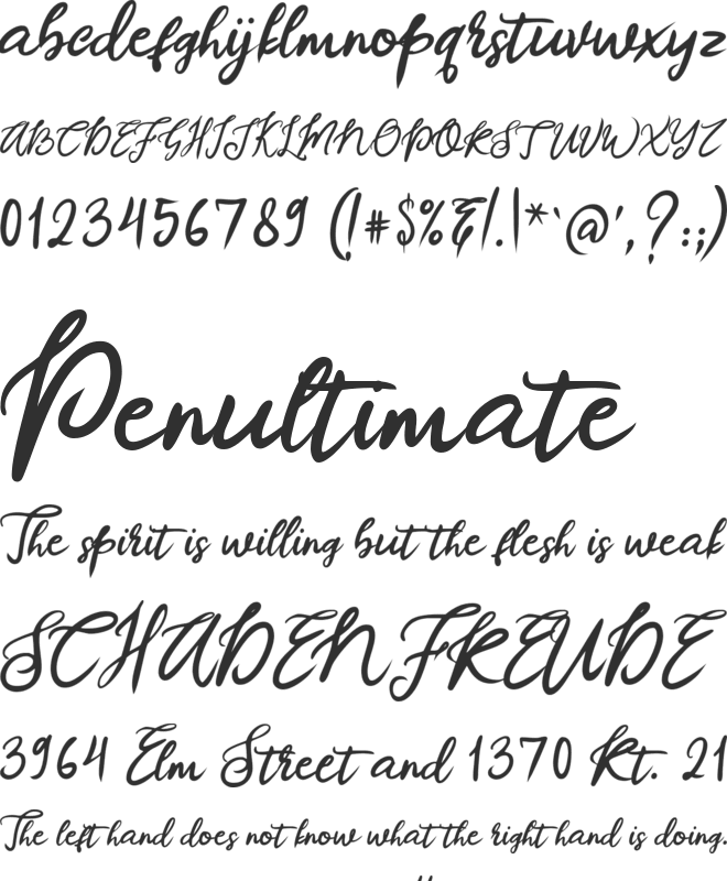 Canilla font preview