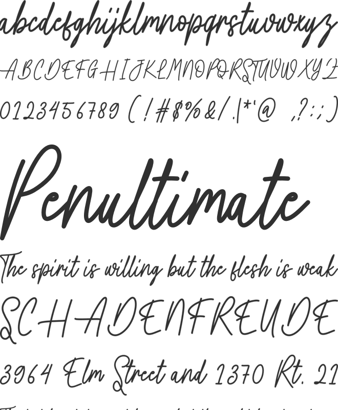 Writting Vintage font preview
