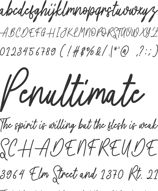 Writting Vintage font preview