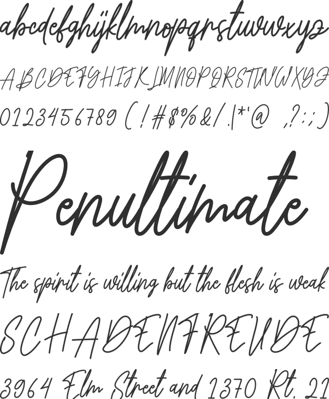 The Vintage font preview