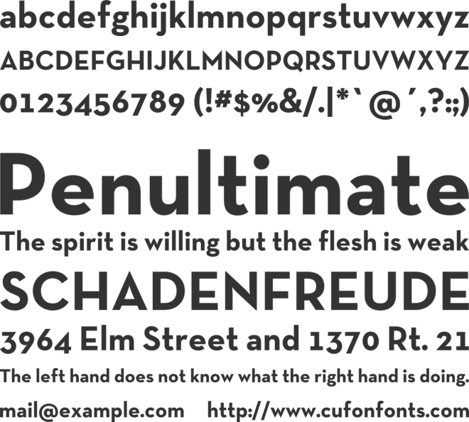 Neutra Text TF font preview