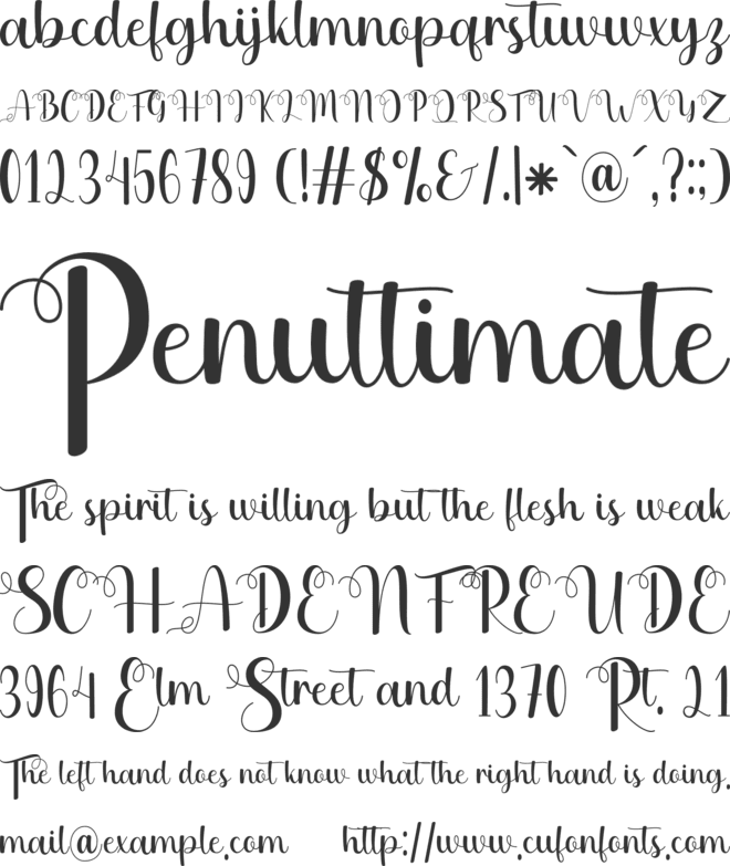 Jasmine Sunflower font preview