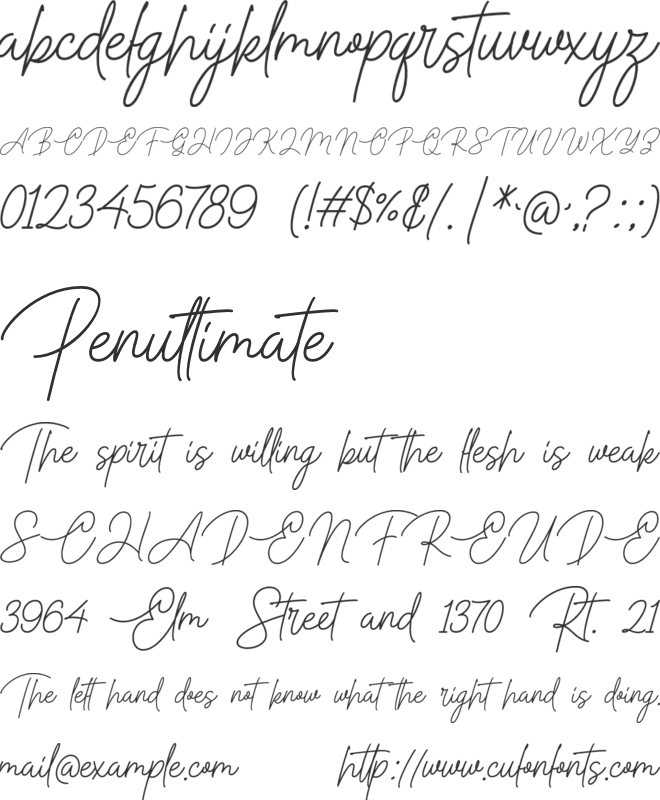 Paragraphy font preview