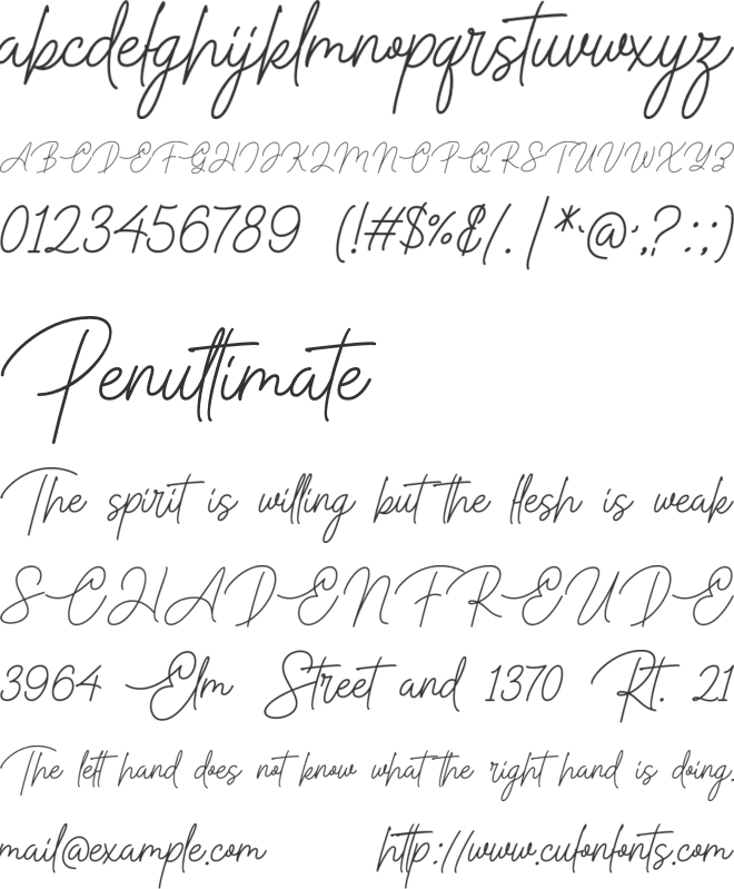 Paragraphy font preview