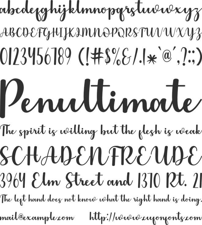 Little Dolphins font preview