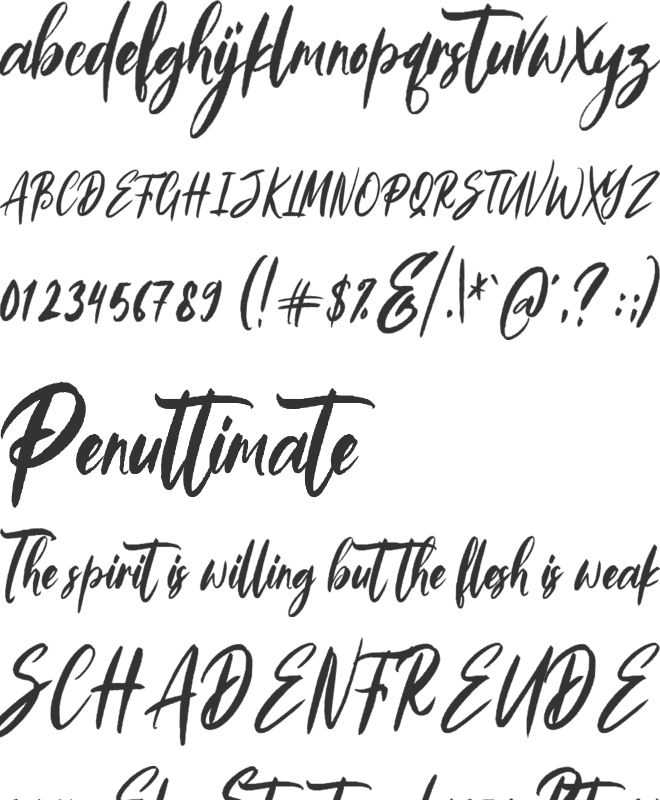 Ilovera font preview