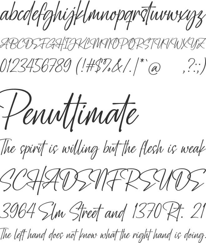 Amity Signature font preview