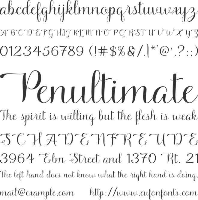 Madelis Script font preview