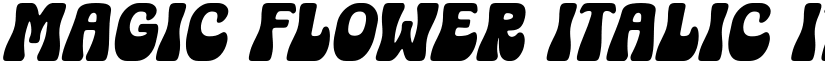 Magic Flower Italic Italic font