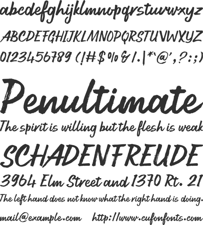 Young Style font preview