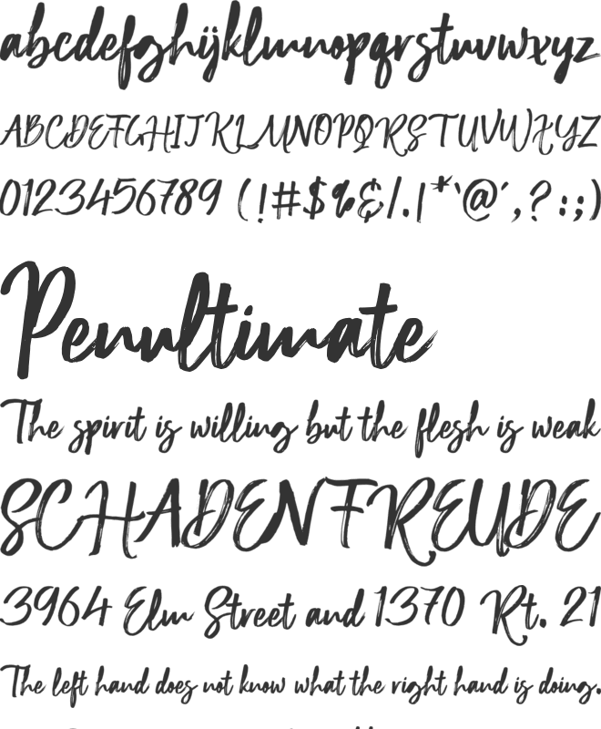 Wiltona Brush font preview