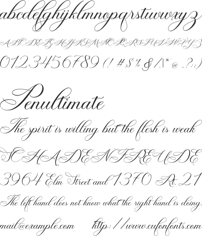 Wellington Script font preview