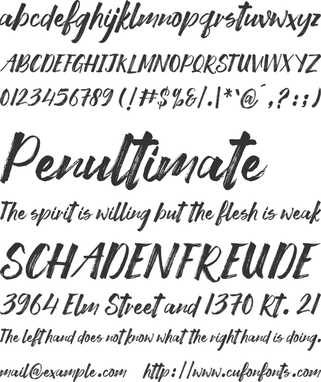 Strong Brush font preview