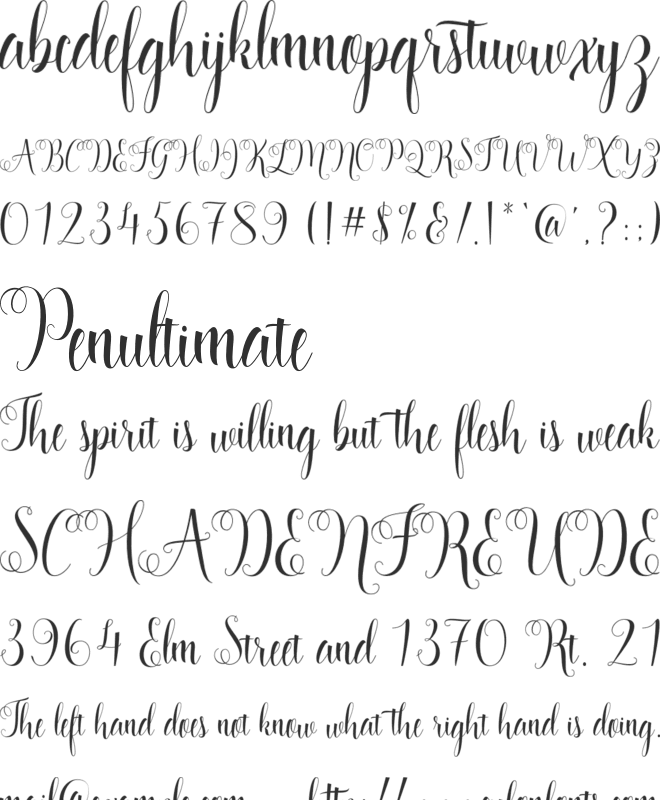 Starlight Script font preview
