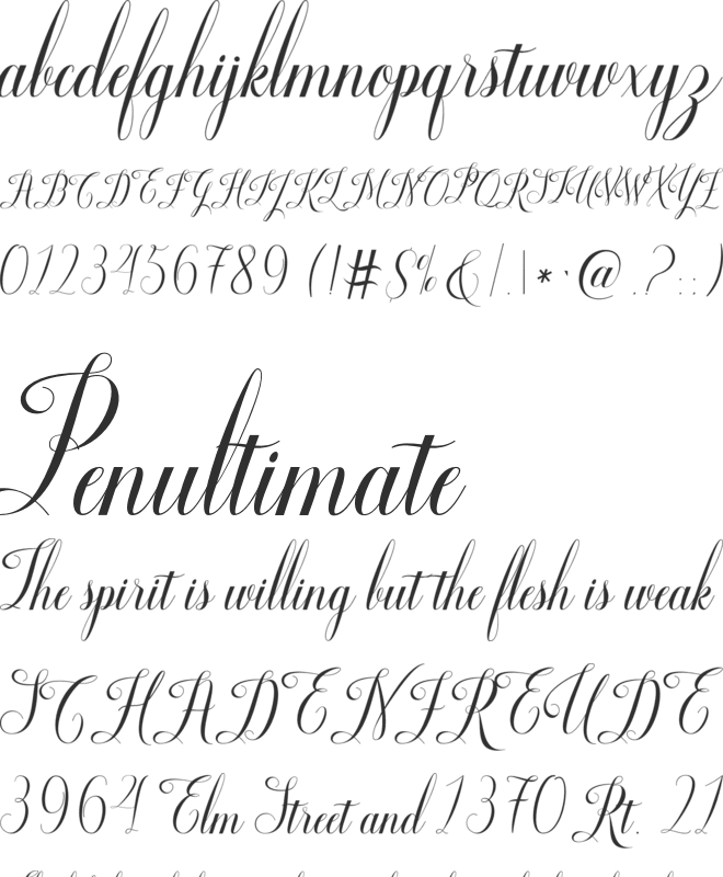 Smoothline Script font preview