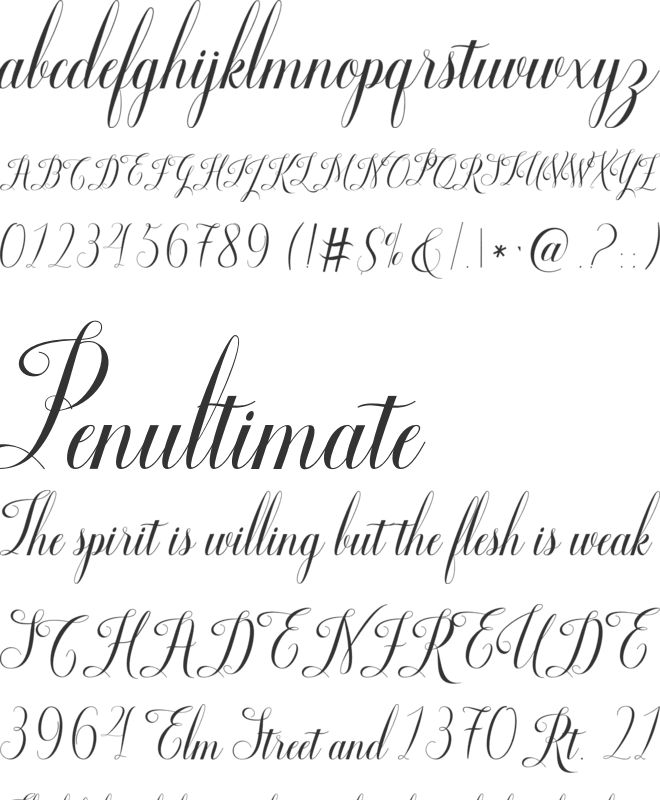 Smoothline Script font preview