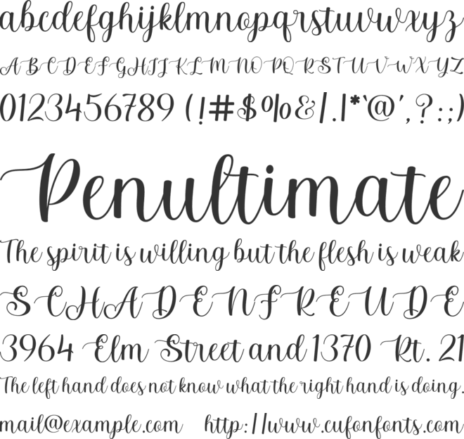 Revanie script font preview