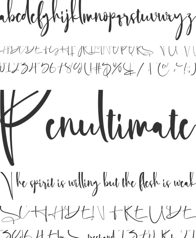 The Everleigh font preview